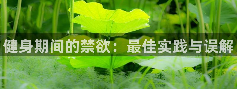 意昂2代理