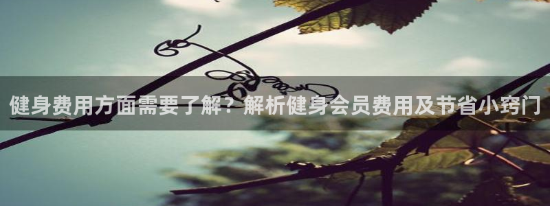 意昂2娱乐