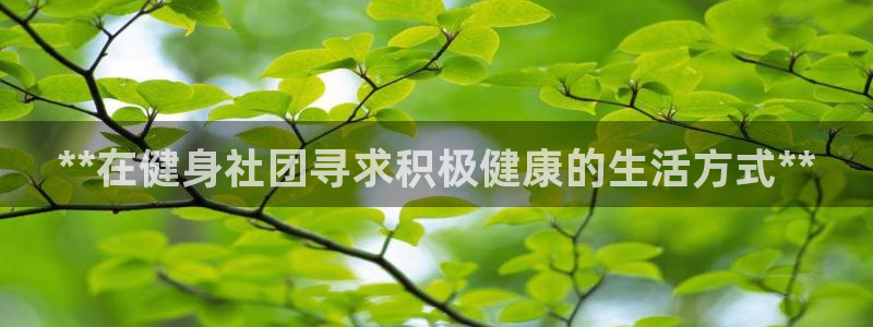意昂2娱乐
