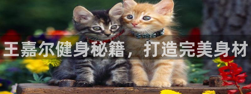 意昂2招商