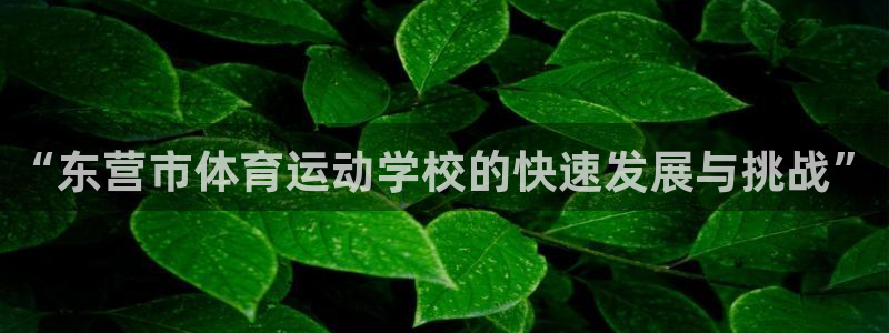ug环球官网注册