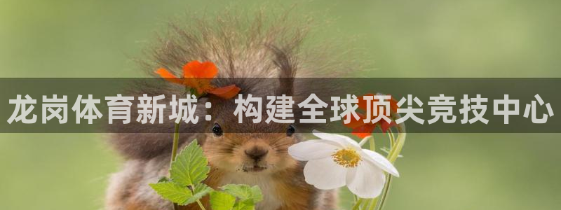ug环球官网注册