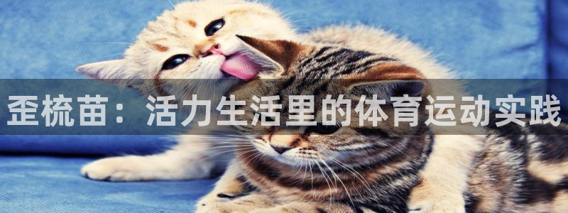 ug环球官网