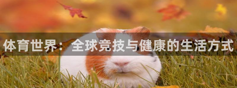 菲律宾ug环球官网