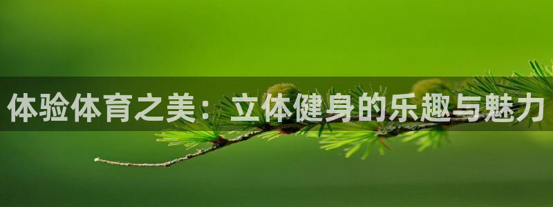 ug环球官网注册