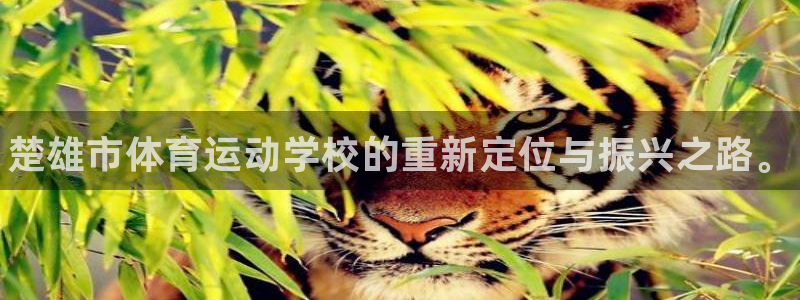 菲律宾ug环球官网