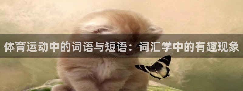 ug环球官网登录入口