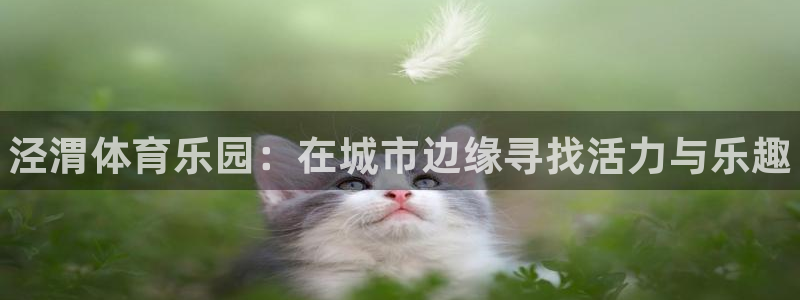 ug环球官网注册