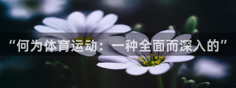 ug环球官网登录入口