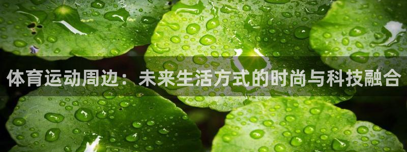 ug环球官网注册